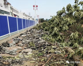 滸灣“一水兩岸”景觀工程正式啟動勘察，打造濱水生態新地標